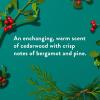 image:imageNative Deodorant Holiday Edition Fresh Mistletoe Scent Contains Naturally Derived Ingredients 72 Hour Odor Control  Deodorant for Women and Men Aluminum Free with Baking Soda