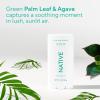 image:imageNative Palm Leaf amp Agave Deodorant 31 oz
