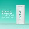 image:imageNative Palm Leaf amp Agave Deodorant 31 oz